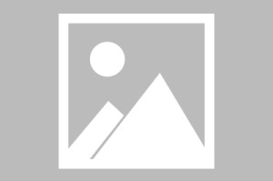 西湖公园娱乐设施图片全解析西湖公园娱乐设施图片